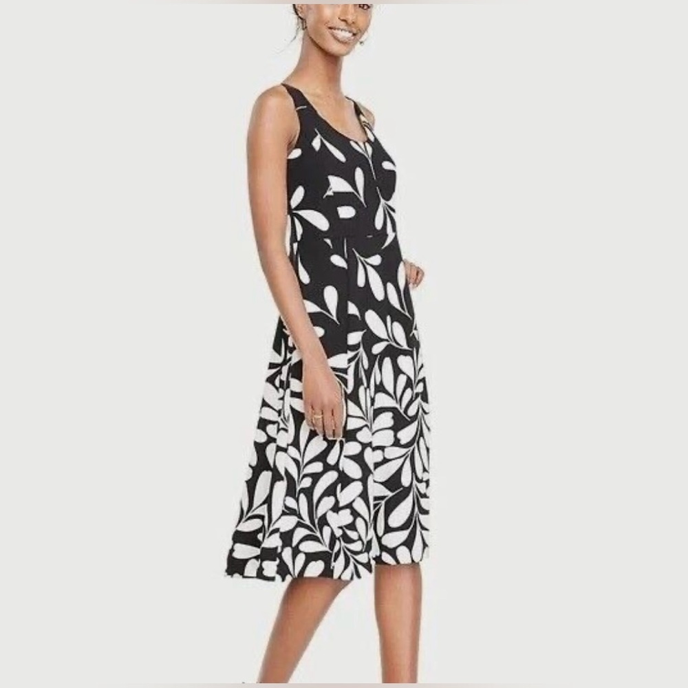 Ann Taylor Falling Leaves Flare Dress Black White Abstract Sz 10